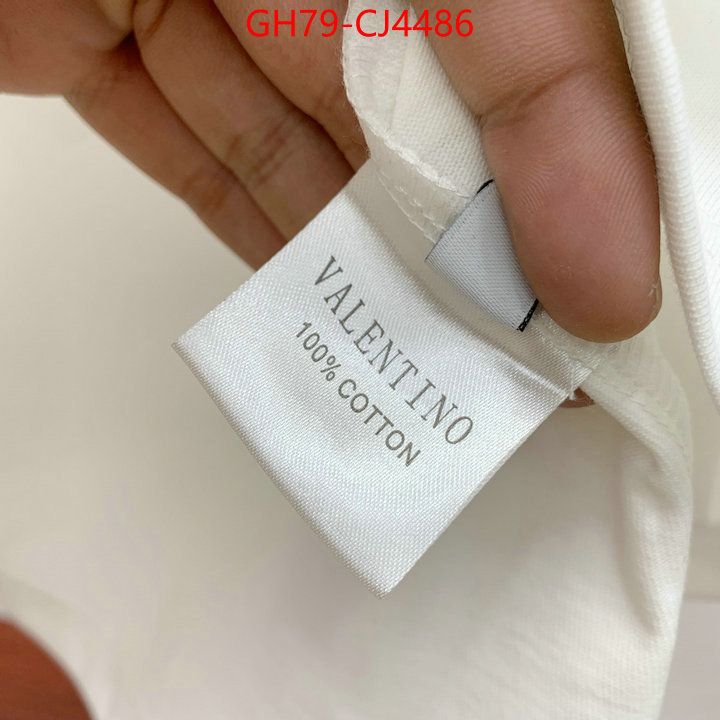 Clothing-Valentino from china ID: CJ4486 $: 79USD