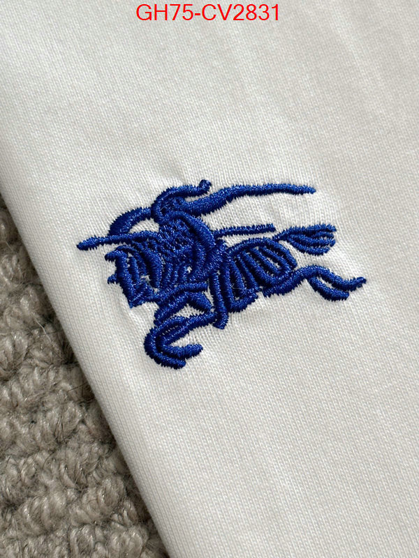 Clothing-Burberry designer 1:1 replica ID: CV2831 $: 75USD