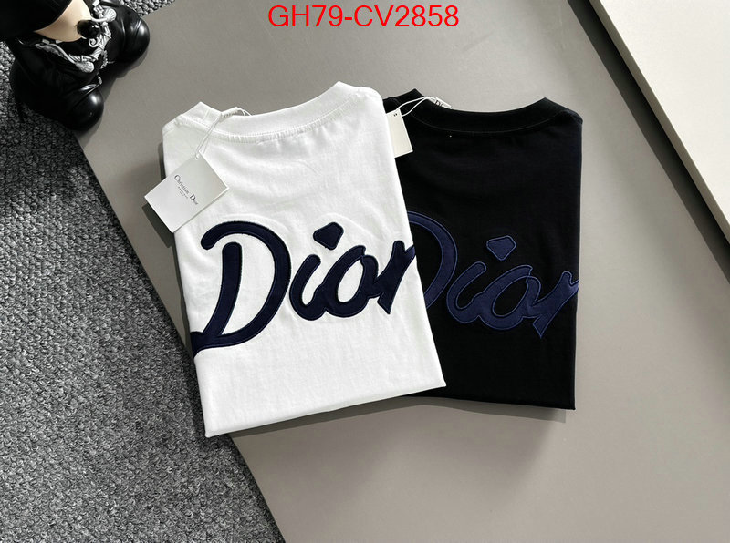 Clothing-Dior customize best quality replica ID: CV2858 $: 79USD