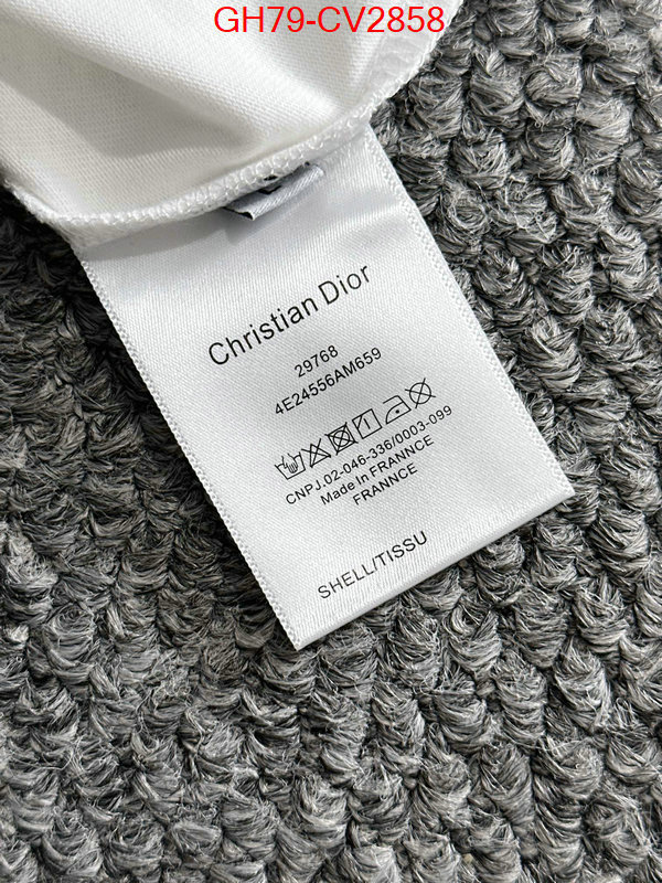 Clothing-Dior customize best quality replica ID: CV2858 $: 79USD