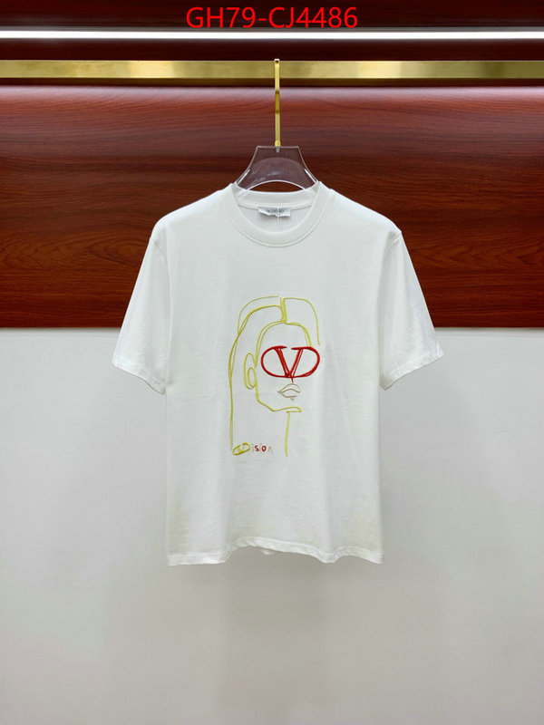 Clothing-Valentino from china ID: CJ4486 $: 79USD