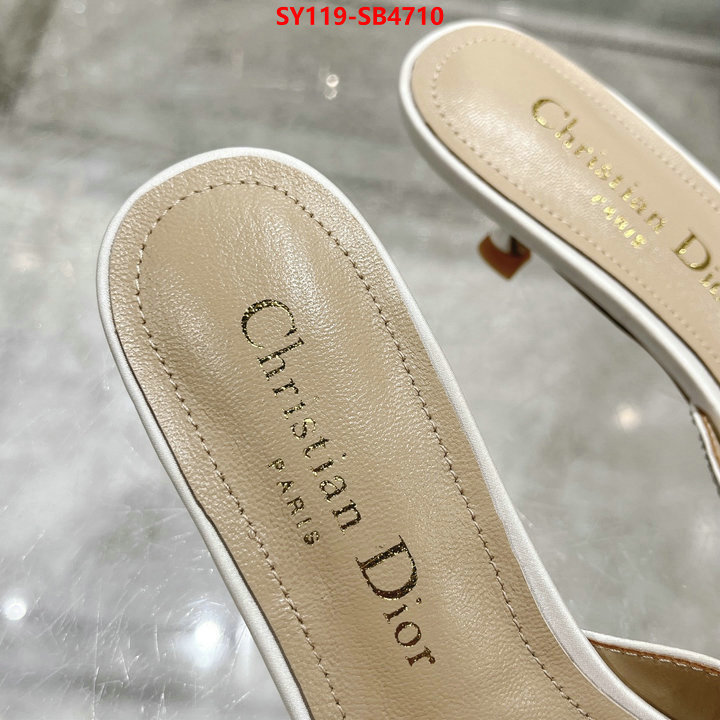 Women Shoes-Dior wholesale imitation designer replicas ID: SB4710 $: 119USD