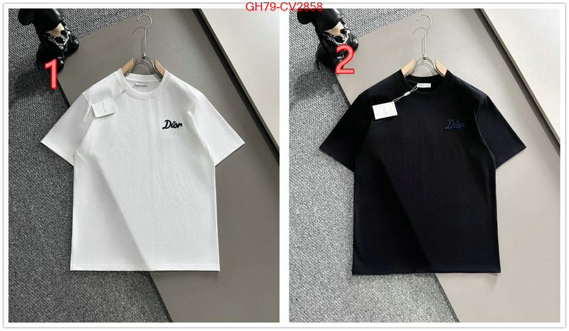 Clothing-Dior customize best quality replica ID: CV2858 $: 79USD