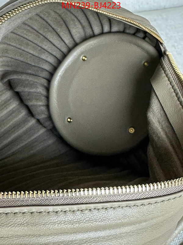 Loewe Bags(TOP)-Crossbody- store ID: BJ4223 $: 239USD,