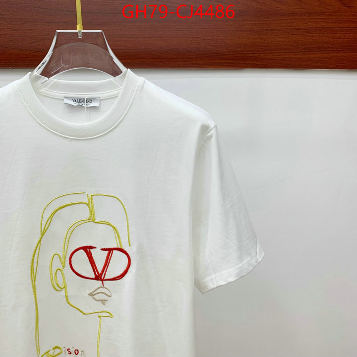 Clothing-Valentino from china ID: CJ4486 $: 79USD