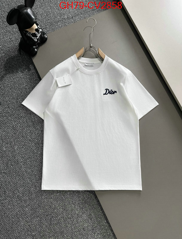 Clothing-Dior customize best quality replica ID: CV2858 $: 79USD