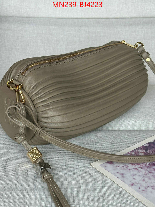Loewe Bags(TOP)-Crossbody- store ID: BJ4223 $: 239USD,