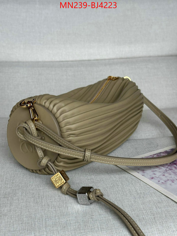 Loewe Bags(TOP)-Crossbody- store ID: BJ4223 $: 239USD,