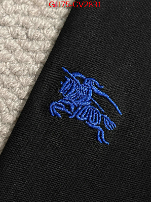 Clothing-Burberry designer 1:1 replica ID: CV2831 $: 75USD