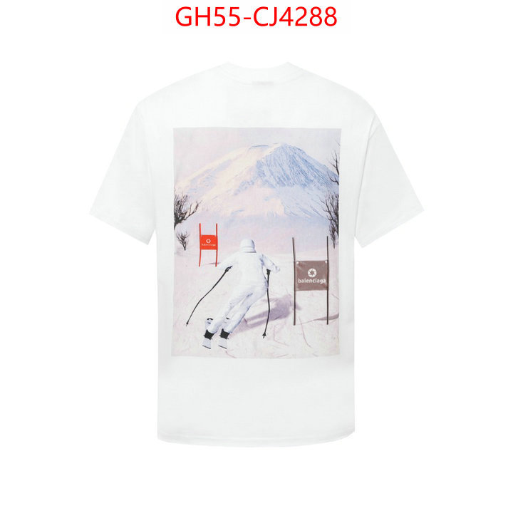 Clothing-Balenciaga perfect ID: CJ4288 $: 55USD