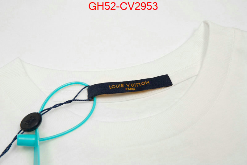 Clothing-LV sell online ID: CV2953 $: 52USD