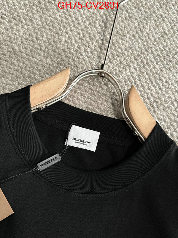 Clothing-Burberry designer 1:1 replica ID: CV2831 $: 75USD