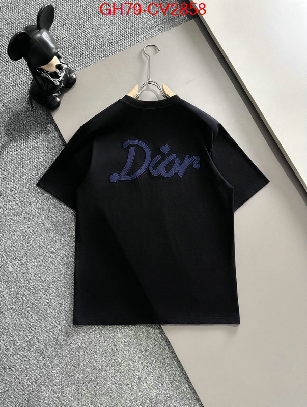 Clothing-Dior customize best quality replica ID: CV2858 $: 79USD