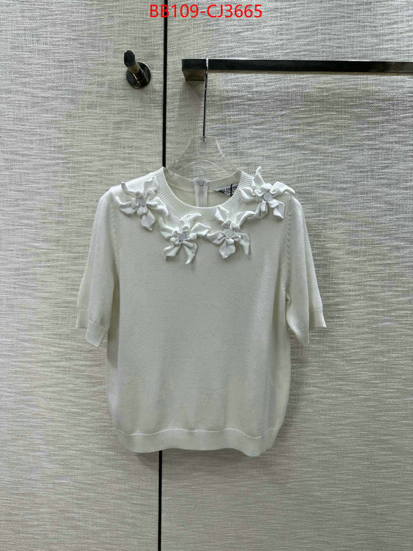 Clothing-Valentino wholesale replica shop ID: CJ3665 $: 109USD