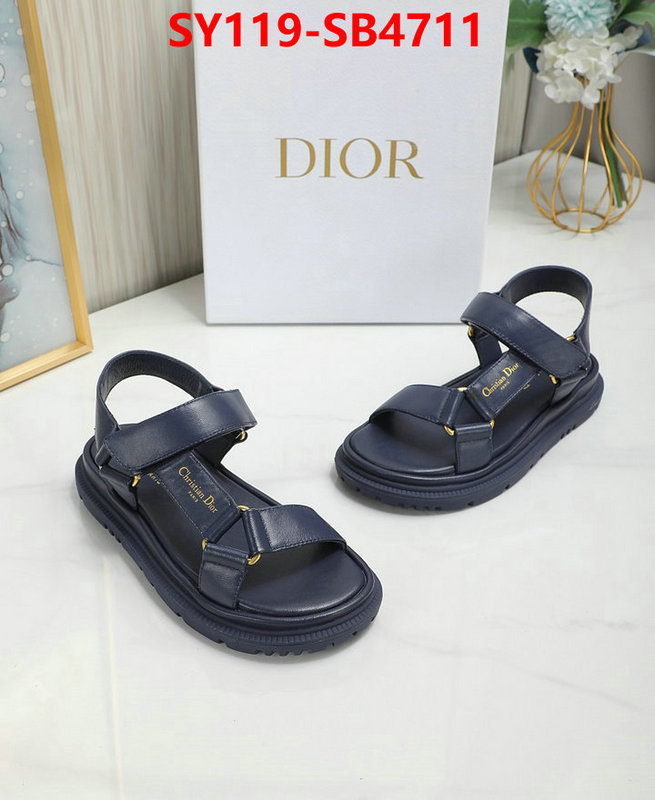 Women Shoes-Dior the best affordable ID: SB4711 $: 119USD