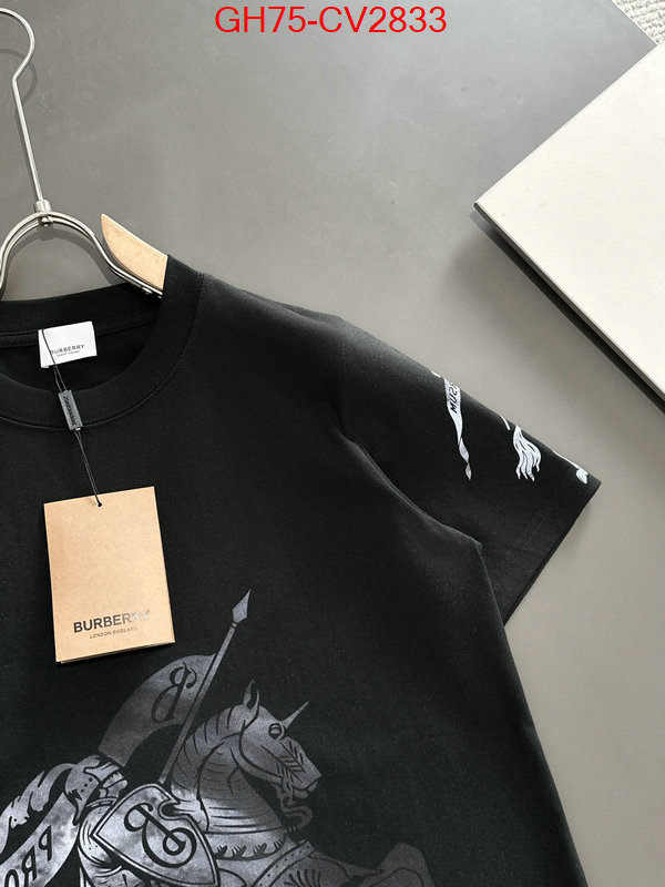 Clothing-Burberry replica designer ID: CV2833 $: 75USD