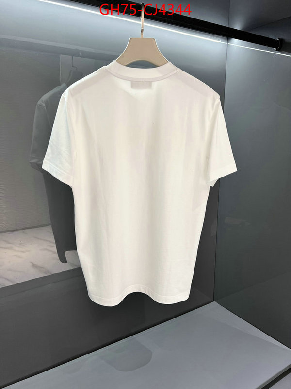 Clothing-Fendi sellers online ID: CJ4344 $: 75USD