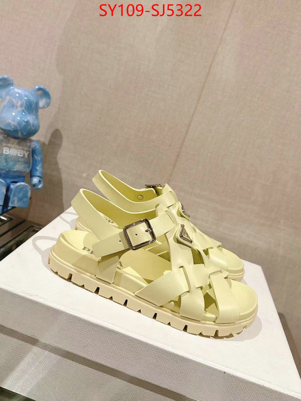 Women Shoes-Prada luxury shop ID: SJ5322 $: 109USD