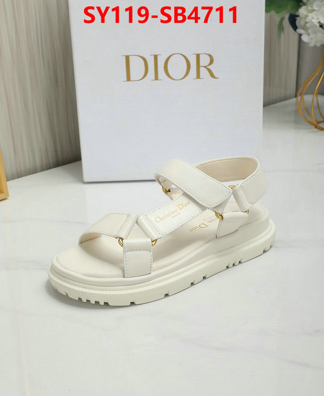 Women Shoes-Dior the best affordable ID: SB4711 $: 119USD