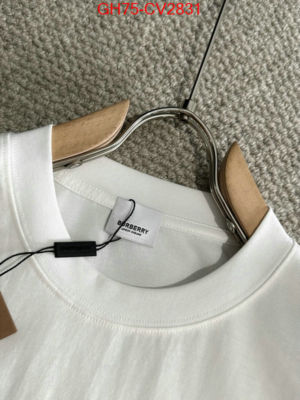 Clothing-Burberry designer 1:1 replica ID: CV2831 $: 75USD
