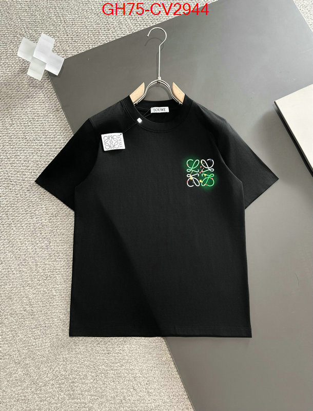 Clothing-Loewe luxury shop ID: CV2944 $: 75USD