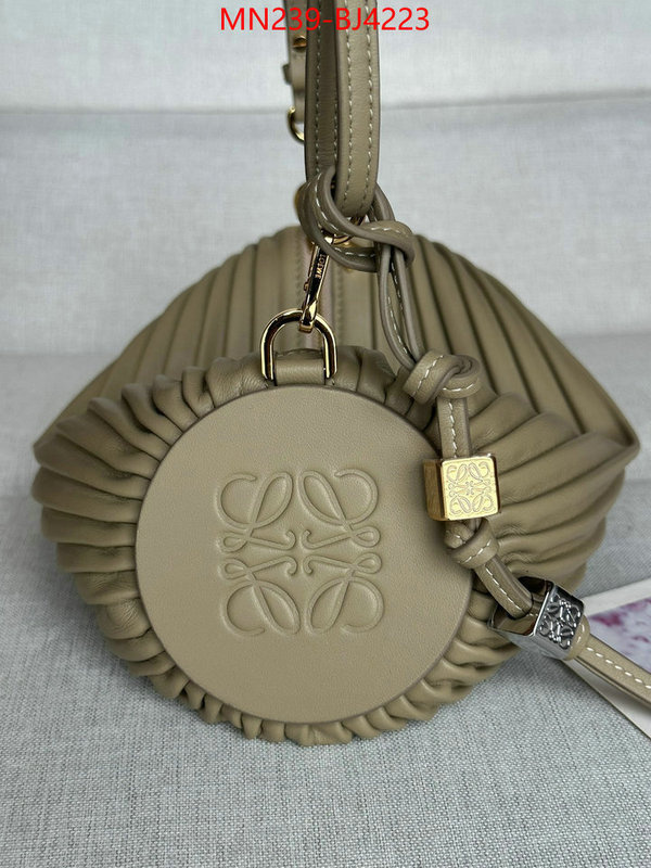 Loewe Bags(TOP)-Crossbody- store ID: BJ4223 $: 239USD,