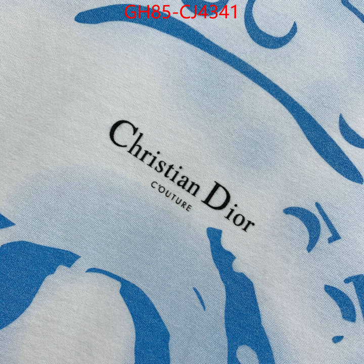 Clothing-Dior sale outlet online ID: CJ4341 $: 85USD