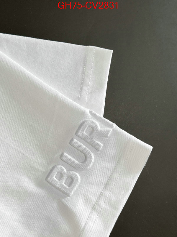 Clothing-Burberry designer 1:1 replica ID: CV2831 $: 75USD