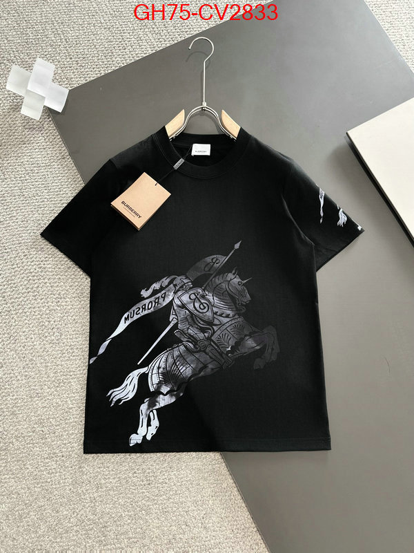 Clothing-Burberry replica designer ID: CV2833 $: 75USD