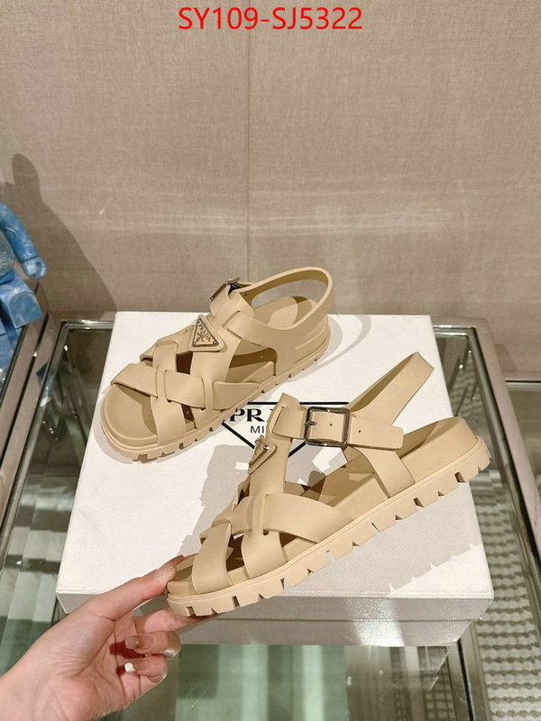 Women Shoes-Prada luxury shop ID: SJ5322 $: 109USD