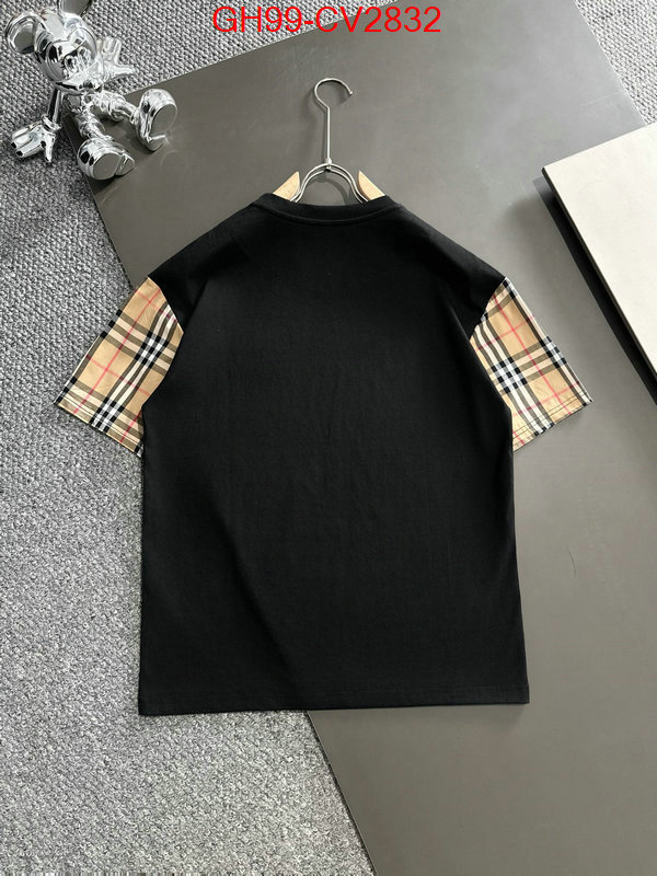 Clothing-Burberry luxury 7 star replica ID: CV2832 $: 99USD