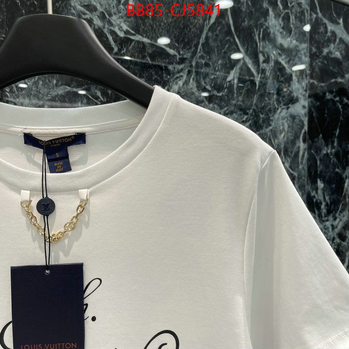 Clothing-LV china sale ID: CJ5841 $: 85USD