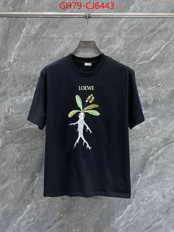 Clothing-Loewe perfect ID: CJ6443 $: 79USD