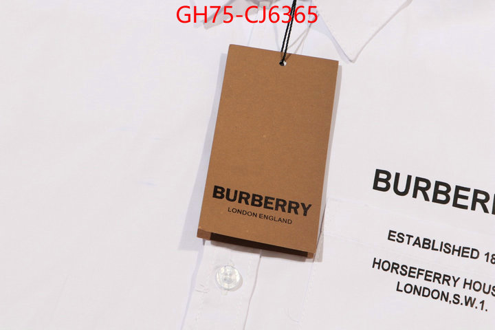 Clothing-Burberry aaaaa+ replica designer ID: CJ6365 $: 75USD