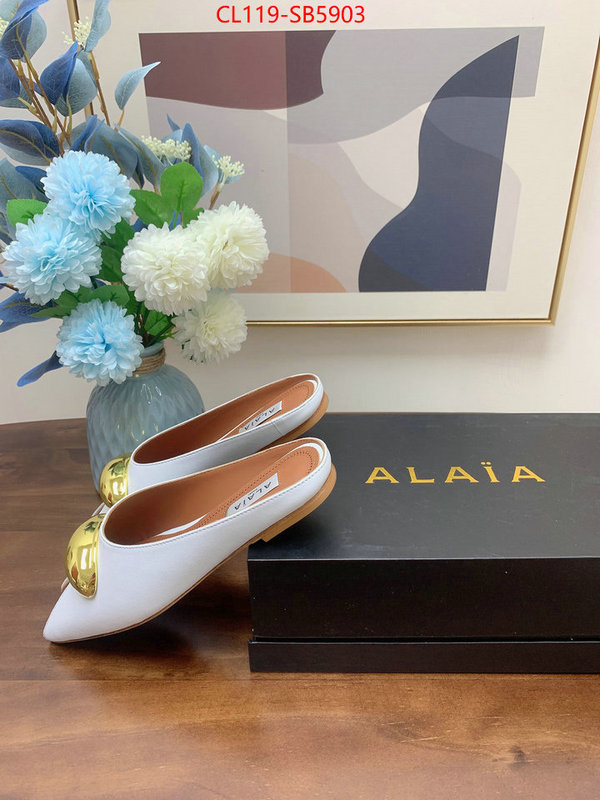 Women Shoes-ALAIA knockoff highest quality ID: SB5903 $: 119USD