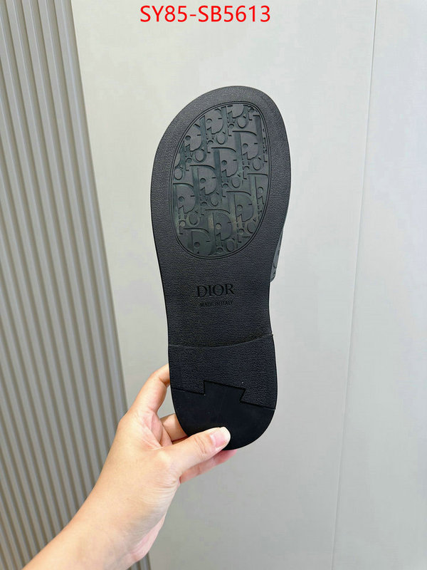 Men shoes-Dior top quality fake ID: SB5613 $: 85USD