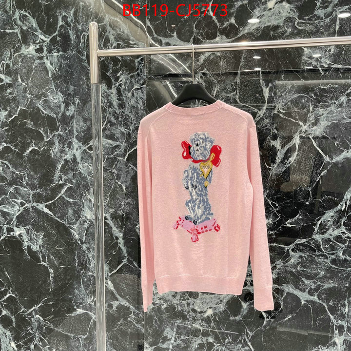 Clothing-Dior replicas ID: CJ5773 $: 119USD