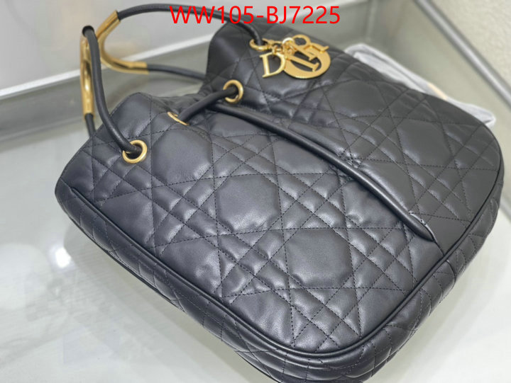 Dior Bags(4A)-Other Style- best designer replica ID: BJ7225