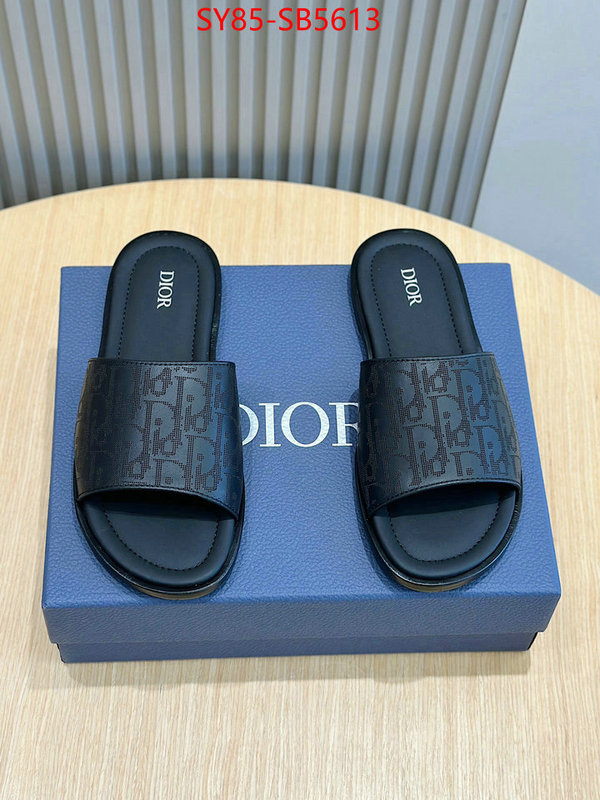 Men shoes-Dior top quality fake ID: SB5613 $: 85USD