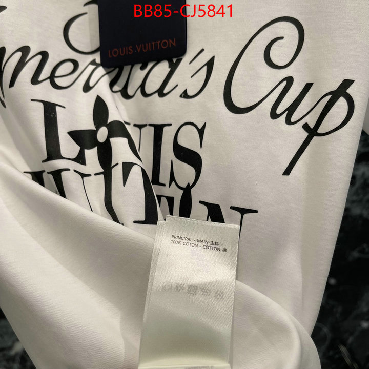 Clothing-LV china sale ID: CJ5841 $: 85USD