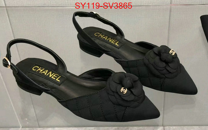 Women Shoes-Chanel mirror quality ID: SV3865 $: 119USD