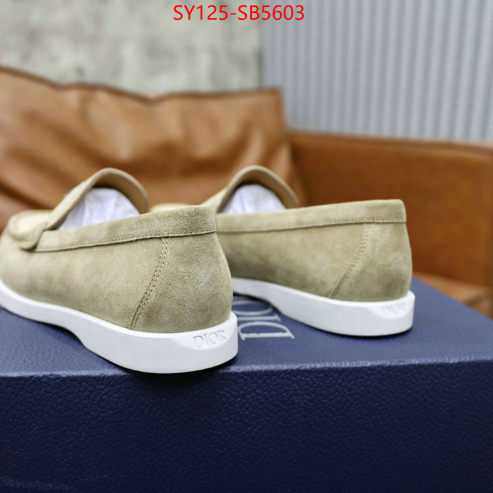 Men shoes-Dior replcia cheap ID: SB5603 $: 125USD