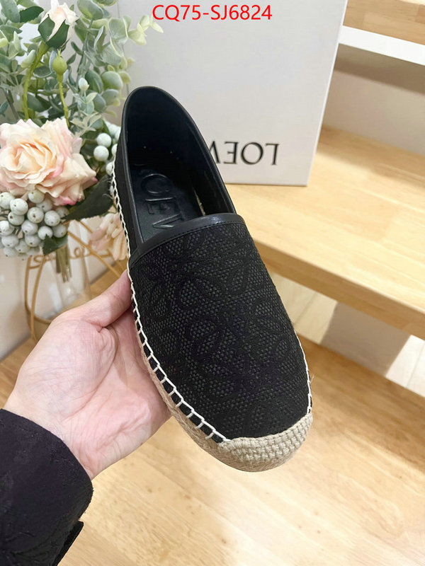 Women Shoes-Loewe best like ID: SJ6824 $: 75USD