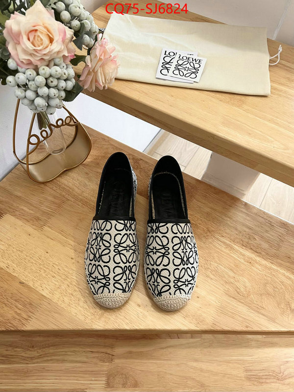 Women Shoes-Loewe best like ID: SJ6824 $: 75USD