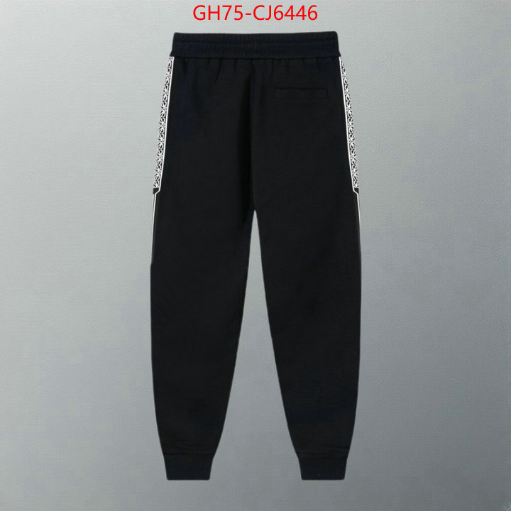 Clothing-Loewe counter quality ID: CJ6446 $: 75USD