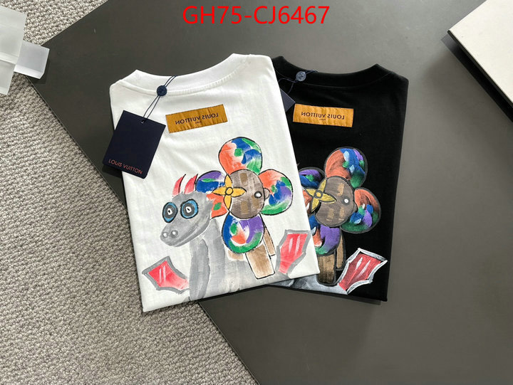 Clothing-LV 1:1 clone ID: CJ6467 $: 79USD