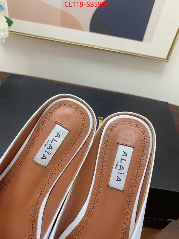 Women Shoes-ALAIA knockoff highest quality ID: SB5903 $: 119USD