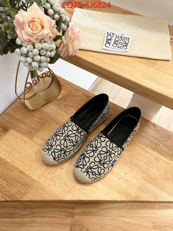 Women Shoes-Loewe best like ID: SJ6824 $: 75USD