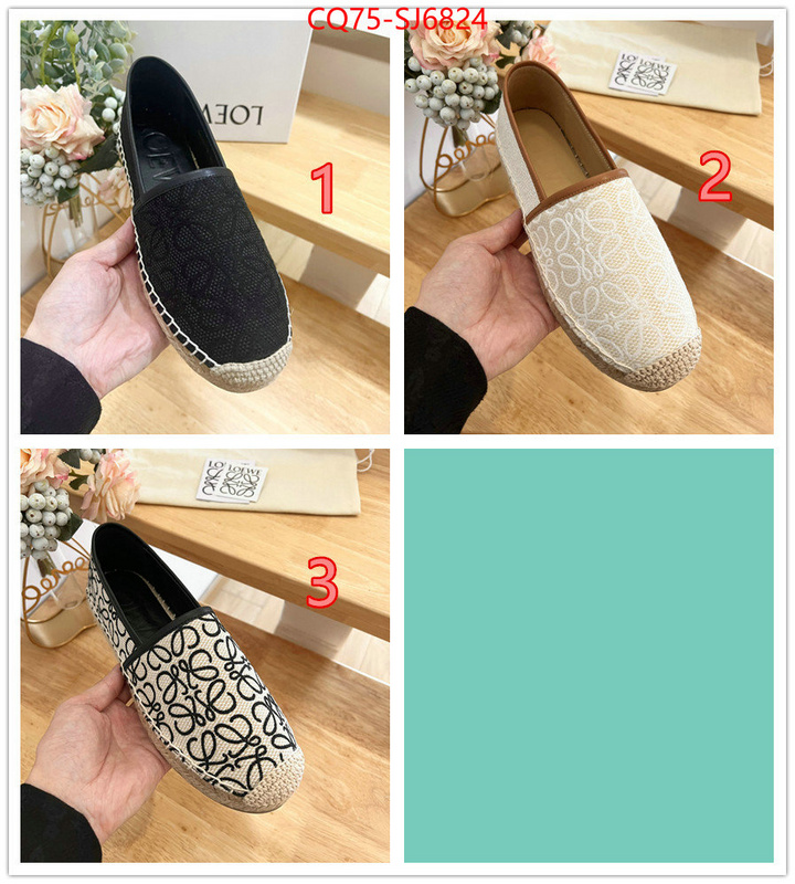 Women Shoes-Loewe best like ID: SJ6824 $: 75USD