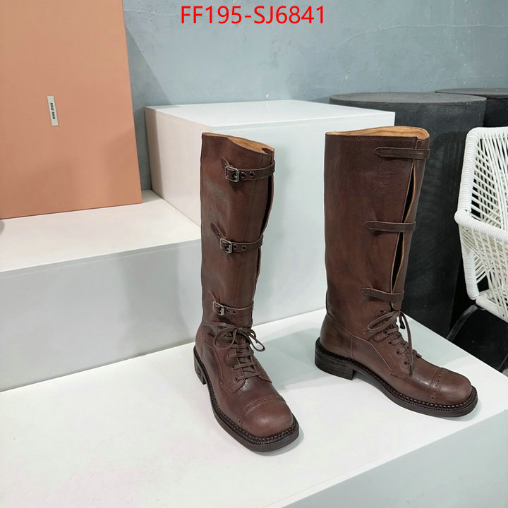 Women Shoes-Boots wholesale replica shop ID: SJ6841 $: 195USD